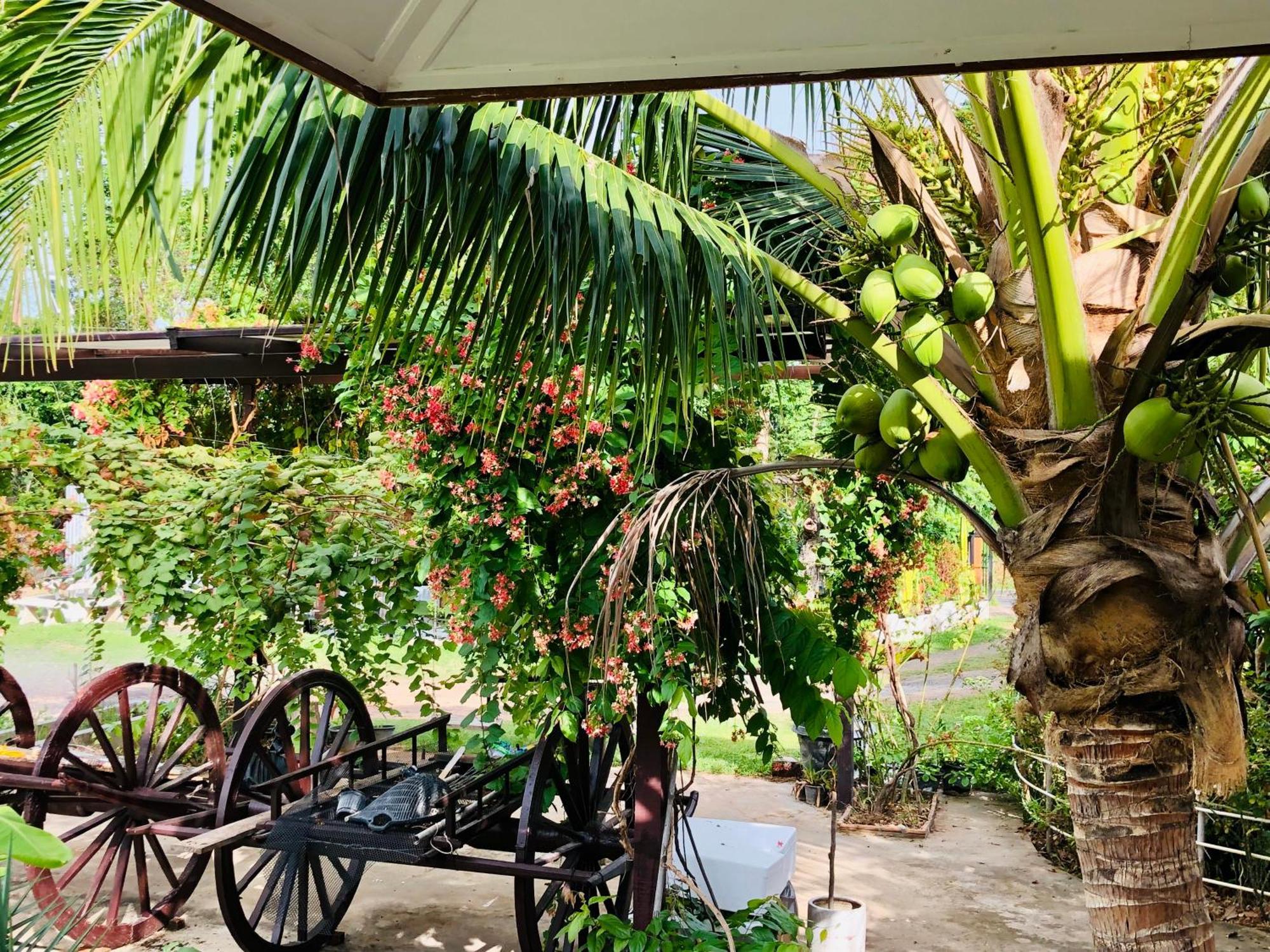 Baan Thung Home Stay Prasat Exterior foto