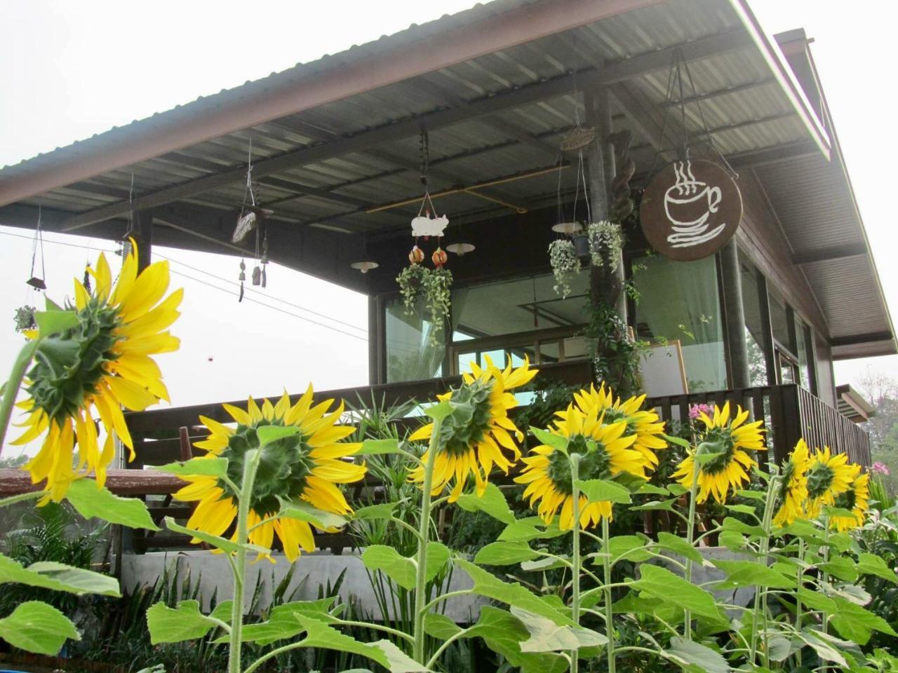 Baan Thung Home Stay Prasat Exterior foto