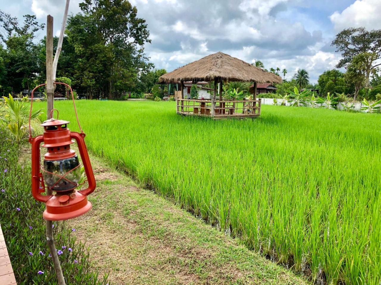 Baan Thung Home Stay Prasat Exterior foto